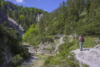 Hiking Oetschergraben