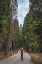 A young blonde in a red dress in a giant pine forest. Lifestyle session