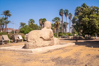 The precious Sphinx of Memphis in Cairo