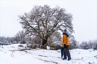 Young girl in a yellow jacket walking through the snow next to a tree. Snow in the town of Opakua near Vitoria in Araba