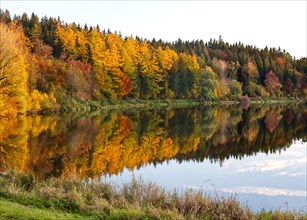 Colourful autumn forest with beautiful reflection near Haslach