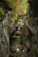 The Starzlachklamm gorge in autumn with trees in autumn leaves. The circular trail leads along rock walls