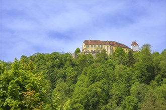 View of the castle from Mariensteig