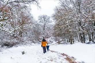 A young woman in a yellow jacket walking along the path of frozen trees. Snow in the town of Opakua near Vitoria in Araba