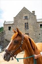 Medieval show with horses inside the castle of Fougeres. Brittany region
