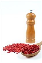 Pink peppercorns in a wooden spoon with a wooden pepper shaker isolated on a white background and copy space