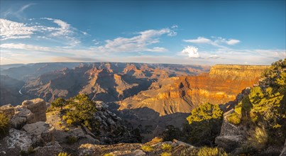 Panoramic at Sunset at the Powell Point of the Grand Canyon. Arizona