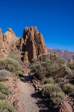 Lower area of the trekking on the path between Roques de Gracia and Roque Cinchado in the natural area of Mount Teide in Tenerife