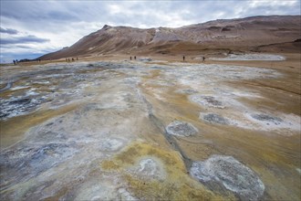 Pools of boiling water and brimstone in the landscape in Myvatn Park. Iceland