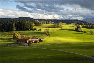 Rural landscape in the Allgaeu with meadows