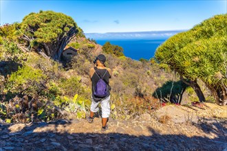 A photographer photographing on the Las Tricias trail in the town of Garafia in the north of the island of La Palma