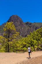 A young woman walking along the La Cumbrecita trail on the island of La Palma next to the Caldera de Taburiente