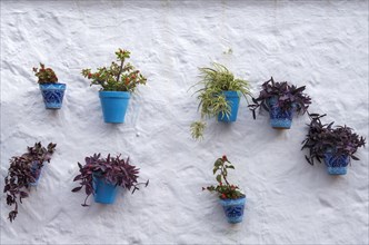 Blue flower pots on a white house wall