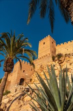 The Alcazaba and the wall of the town of Almeria