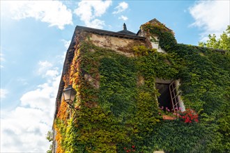 Houses full of green leaves in the medieval village of Rochefort-en-Terre