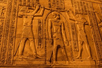 Egyptian drawings and hieroglyphs at the Temple of Kom Ombo