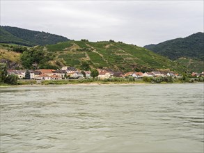 Vineyards on the Danube