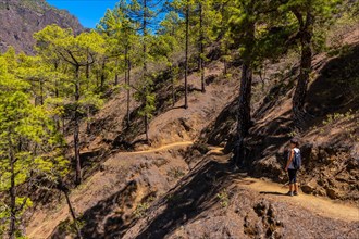 A young woman on the beautiful trekking trail of La Cumbrecita on the island of La Palma next to the Caldera de Taburiente