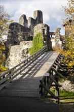 The castle ruins of Alt-Trauchburg
