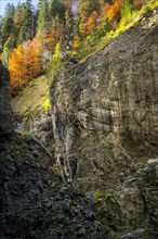 The Breitachklamm gorge in autumn. A rock face and trees in autumn leaves. Oberstdorf