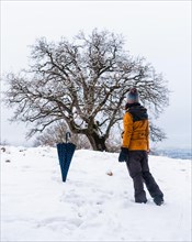 A young woman in a yellow jacket looking at a beautiful tree in the snow. Snow in the town of Opakua near Vitoria in Araba