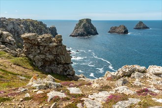 The beautiful coastline in summer at Pen Hir Point on the Crozon Peninsula in French Brittany