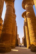 Detail of the columns with Egyptian drawings of the Temple of Karnak