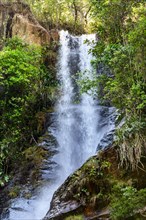 Rainorest with rocks and waterfall in the state of Minas Gerais