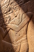 Detail of beautiful natural light on an ancient egyptian drawings inside the Luxor Temple