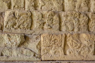 Detail of the Drawings in The stairs of the most famous temple in Copan Ruinas. Honduras