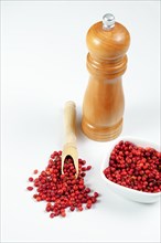 Pink peppercorns in a wooden spoon with a wooden pepper shaker isolated on a white background and copy space