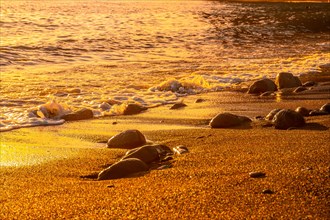 Stones in the water on the beach at sunset in Puerto de Tazacorte on the island of La Palma