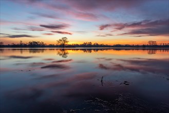 Sunrise over a flooded plain with the reflection of pink clouds in the calm water