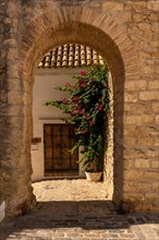 Old gate of the wall of Vejer de la Frontera