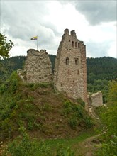 Schenkenburg Ruin