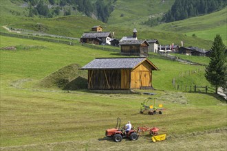 Meadow mowing and behind it the Fane Alm