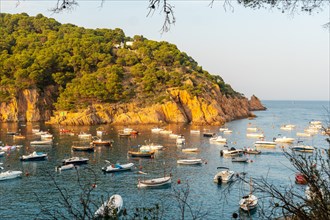 Tamariu beach in the town of Palafrugell in the summer sunset. Girona