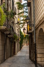 Girona medieval city