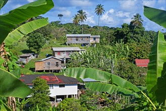 Rural village with wooden houses on stilts on the island of Grenada