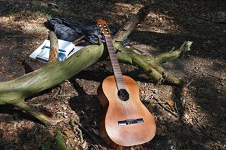 Camp still life with guitar and books