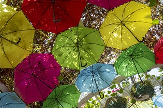 Umbrella Park