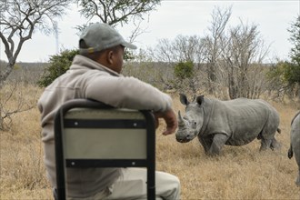 Tracker observes white rhinoceros