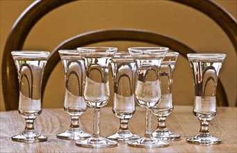 Glasses on table filled with Dutch gin