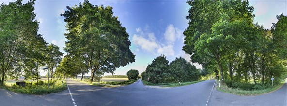 360 degree panorama of an avenue shortly in front of sunset in Albersdorf