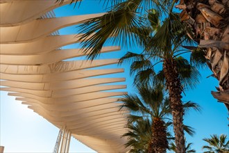 Detail of the structure and palm trees of the promenade called Paseo del Muelle Uno in the city of Malaga