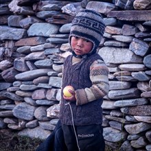 Boy from the Changpa nomads