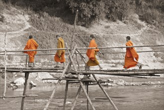 A group of young buddhist monks walking on a bamboo bridge across the Nam Khan river