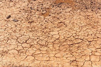 Much drought in Las Salinas de Lobos on the Isla de Lobos
