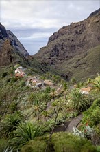 View over the small picturesque mountain village Masca among black volcanic cliffs in the Macizo de Teno mountains on Tenerife