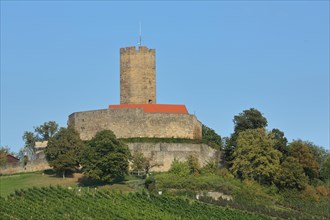 Steinsberg Castle in the Vineyards